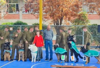 Escuadrón canino de Carabineros de Chile